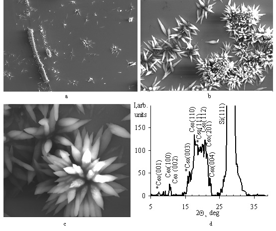Изображение на обложке